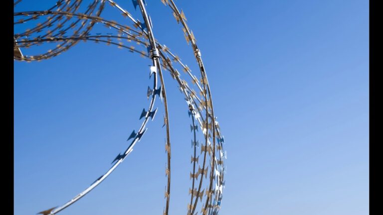 artículo 33 del código penal
