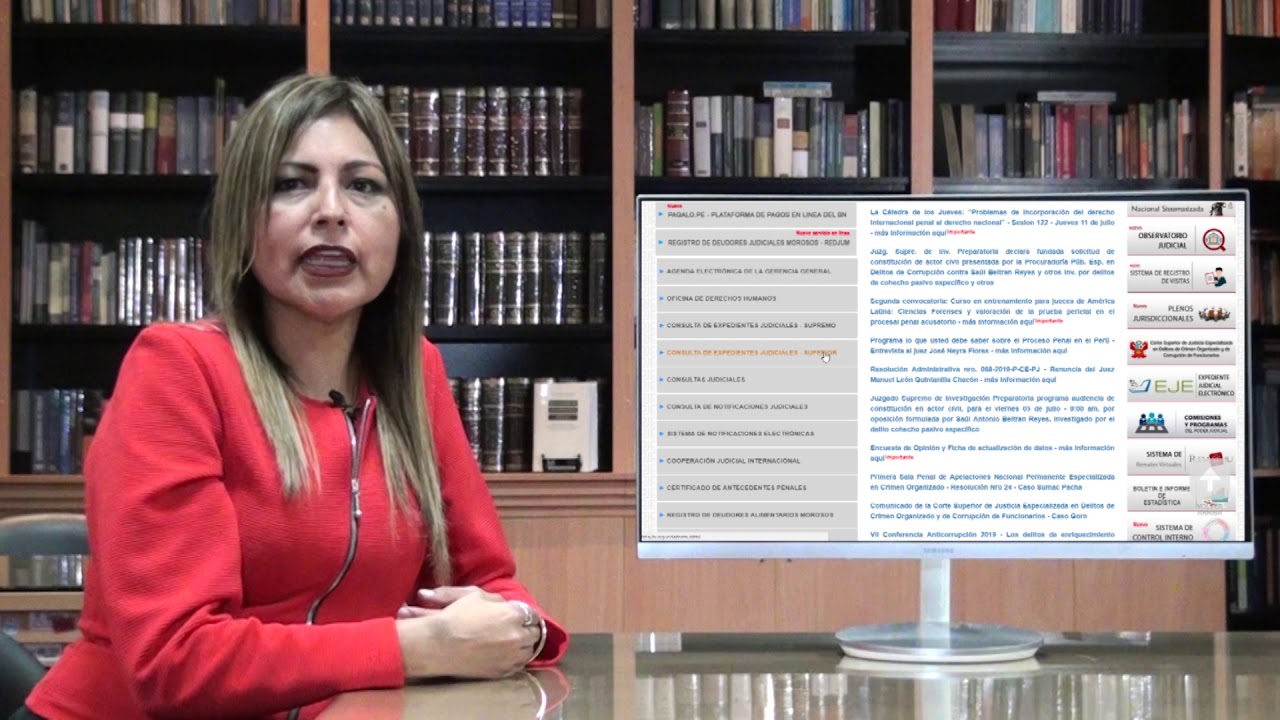 consulta de expedientes judiciales por apellidos