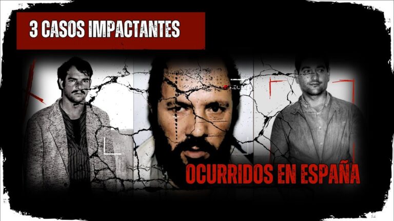 cuantos asesinatos hay en españa al año
