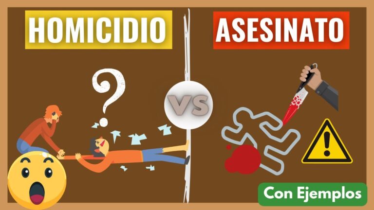 cuantos homicidios hay en españa al año
