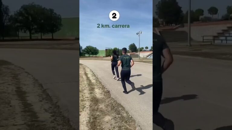 faltas muy graves guardia civil