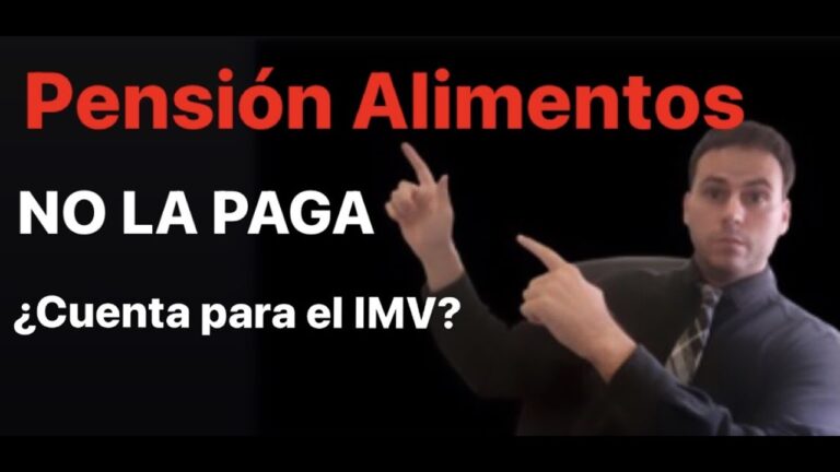 la pensión de alimentos computa para el ingreso mínimo vital
