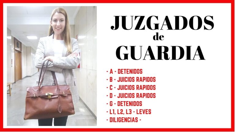 modelo denuncia juzgado de guardia