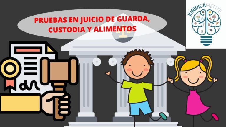 pruebas en un juicio de guarda y custodia