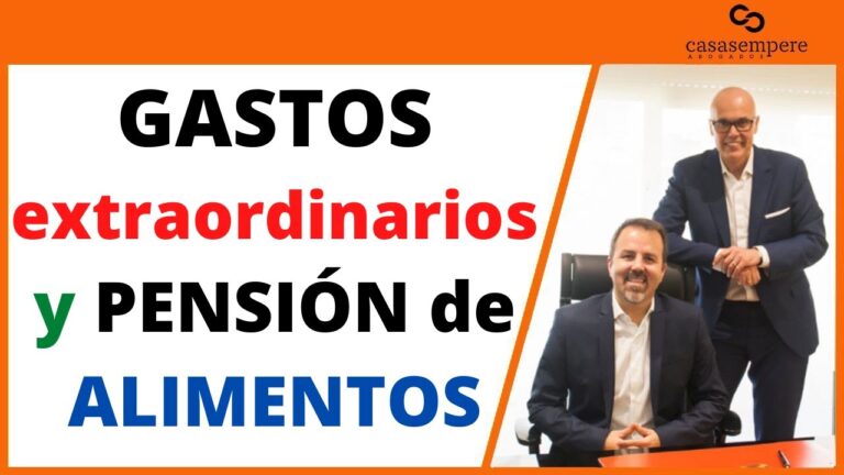 que entra en la pensión de alimentos