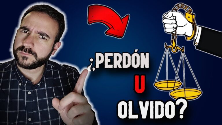 que es la amnistía política