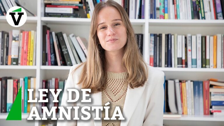 que es la ley de amnistía