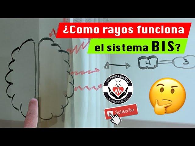 que es un bis a bis