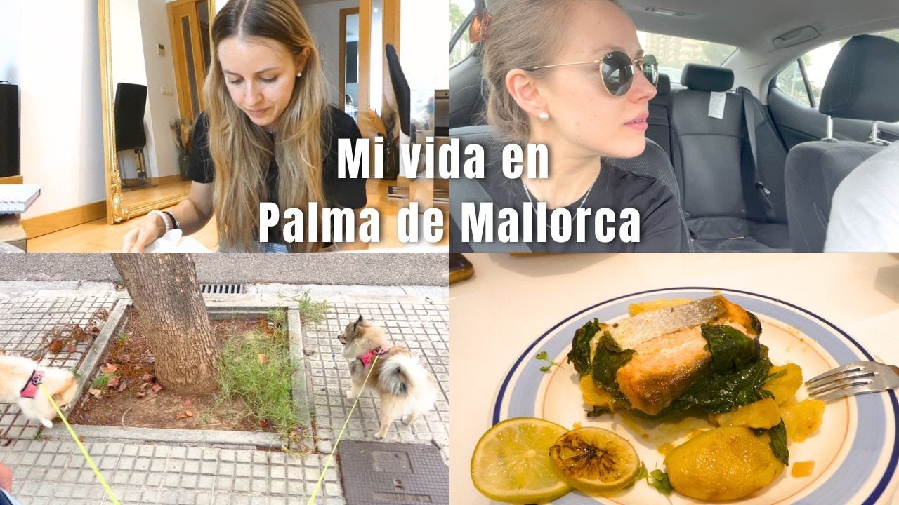 registro civil palma de mallorca