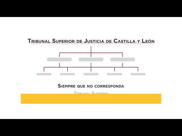 tribunal superior de justicia de castilla y león